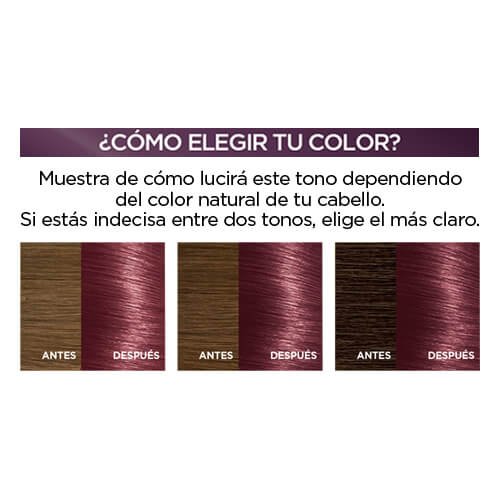 5546 ATREVIDOEXCELLENCECREMELOREAL500x500pxWEBSITE2